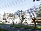 室内からの展望 ア－スコ－ト桜通り