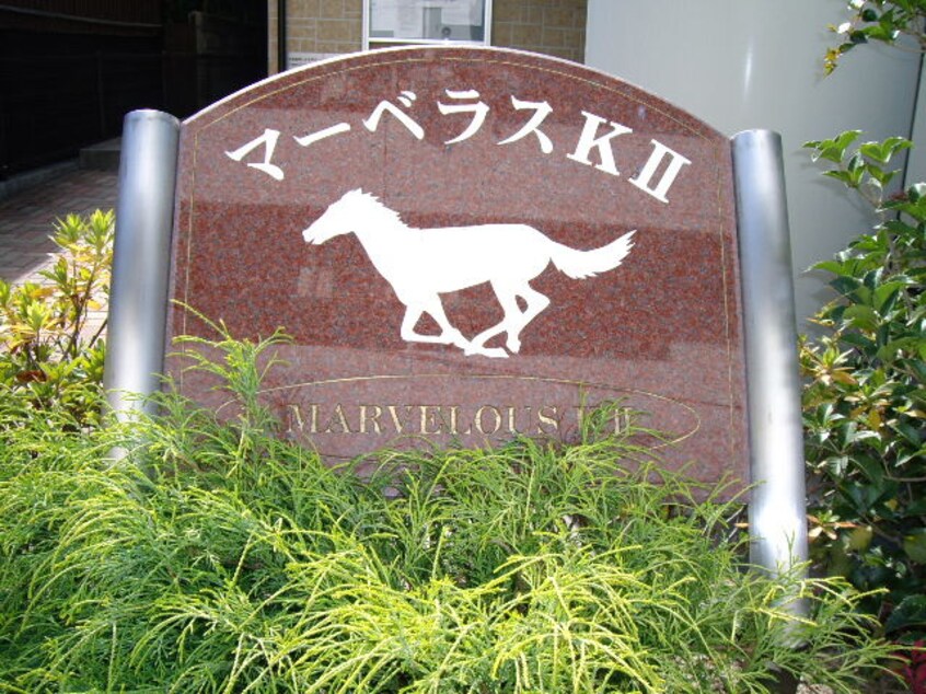 その他 マーベラスＫⅡ