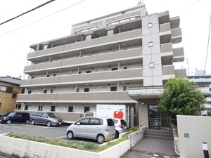 フロント リブ