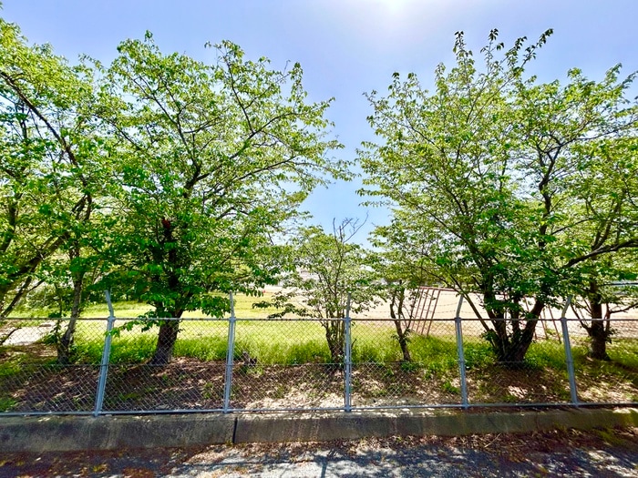 室内からの展望 サヤンテラスＢ