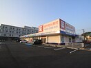 サンキュードラッグ永犬丸店(ドラッグストア)まで350m セレブレイト北の浦