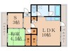 オアシス中曽根 1LDK+Sの間取り