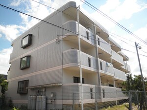ローリス香椎