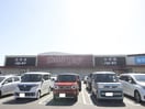 ハローデイ井堀店(スーパー)まで800m 下到津マンション(304)
