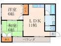 プレミアム紅梅の間取図