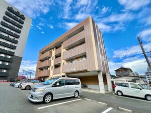 プレミアム紅梅