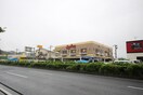 ジョイフル(その他飲食（ファミレスなど）)まで600m ハイデンス高雄　Ａ棟