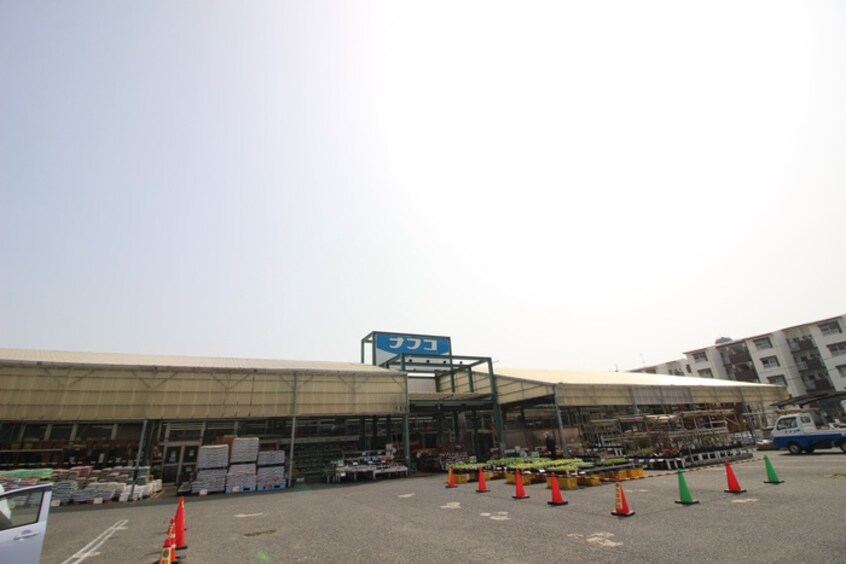 ホームプラザナフコ 苅田店(電気量販店/ホームセンター)まで1200m スモールウッズタウン苅田A