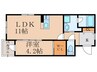 ラ・コルダ中井 1LDKの間取り