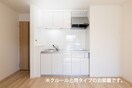 キッチン レディ・バグⅡ
