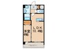 AGORA中原 1LDKの間取り