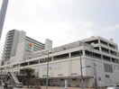サンリブ若松区(スーパー)まで1900m 畑谷町戸建