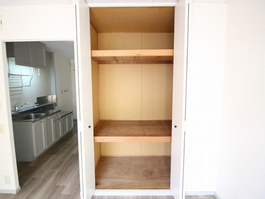 収納 ビ－ラインＨＡＹＡＭＡ