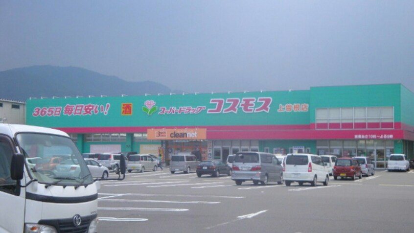 コスモス上曽根店(ドラッグストア)まで210m ラ・フィーエ上曽根