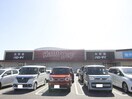 ハローデイ 井堀店(スーパー)まで190m ＣＲＥＳＴ井堀