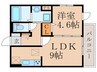 D-ROOM浜町ⅡA棟 1LDKの間取り