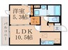 D-ROOM浜町ⅡA棟 1LDKの間取り