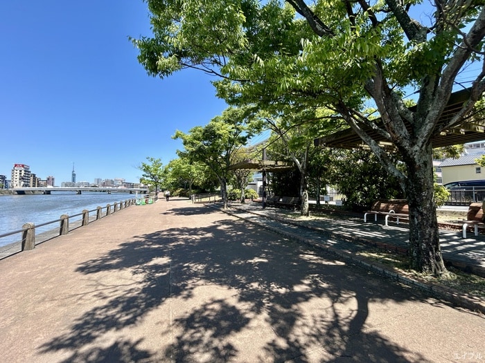 室見河畔公園(公園)まで400m K‘S室見駅アヴェニュー