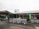 ホームプラザナフコ徳力店(電気量販店/ホームセンター)まで700m プライマリー北九大