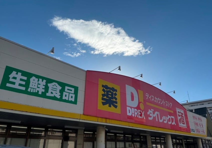 ダイレックス吉塚店(ディスカウントショップ)まで550m リラス2000年通り