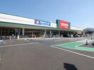 ゆめマート青山店(スーパー)まで650m ヒルズ青山(402)