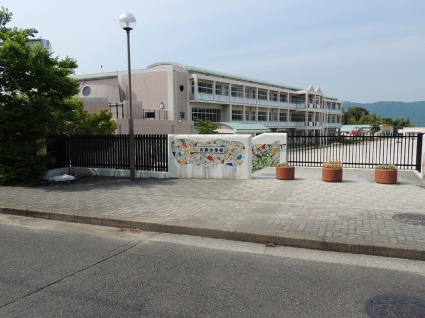 天拝小学校(小学校)まで950m ホワイトベア－杉塚