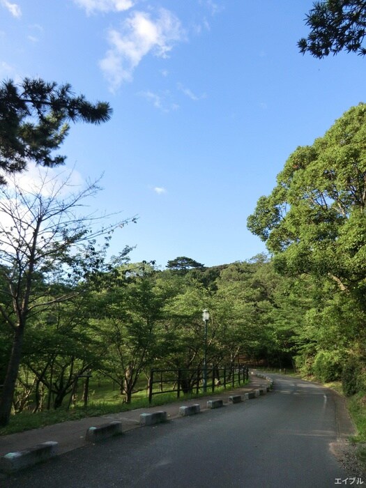 西公園(公園)まで120m 西公園　スクウェア