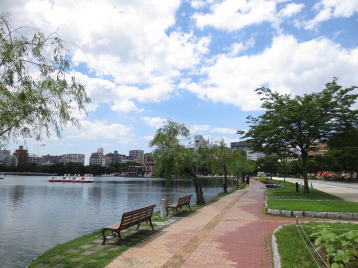 大濠公園(公園)まで550m 西公園　スクウェア