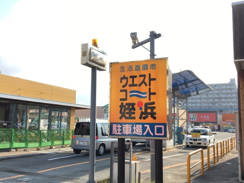 スーパー(スーパー)まで800m シティパレス姪浜