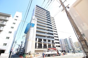 LANDIC　BAYFIELD（1507）