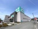 ニトリ 太宰府店(電気量販店/ホームセンター)まで830m ヒールキャッスル二日市