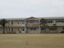 荒木小学校(小学校)まで1500m ミカハウスⅡ