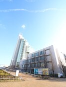 北九州市立大学(大学/短大/専門学校)まで1255m エヴァーグリーン紫の池Ａ