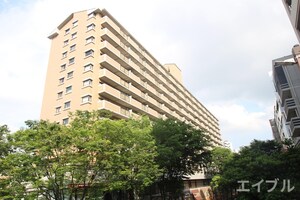 ピア高宮Ｓ棟(802)