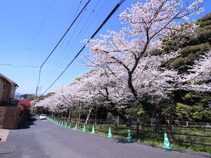 森林幼稚園(公園)まで800m ブウル・ヴァ－ル足原