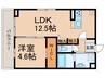 D-room友田 1LDKの間取り