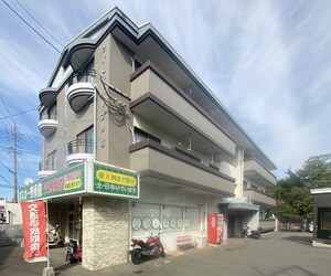 ライトパープル南