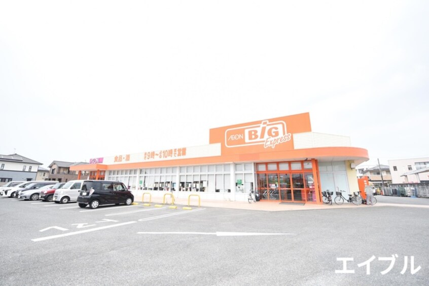 ザ・ビッグ(ディスカウントショップ)まで1100m ラトンラヴ－ルⅠ番館