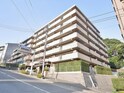 完成写真