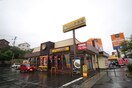 ココ壱(その他飲食（ファミレスなど）)まで600m グランドヒル英