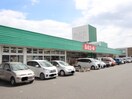 ルミエール行事店(スーパー)まで1000m めぞん桜