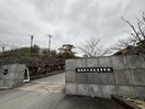 福岡県立須惠高等高校(高等学校/高等専門学校)まで800m コ－ポ新生