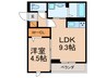 D-ROOM FIRST 大善寺駅前 1LDKの間取り