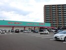 ドラッグコスモス福間駅前店(ドラッグストア)まで1000m 森　貸家　7号室