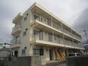 完成写真