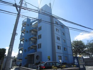 ヒルズ正美