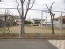 周辺環境 ブル－ディ－バＢ棟