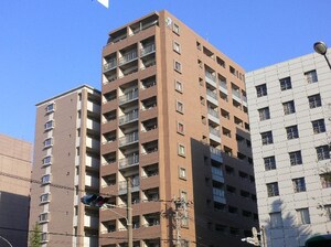 ｻｳﾞｫｲｴｸｾﾙｼｵｰﾙ（505）