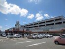 サンリブくりえいと店(スーパー)まで750m ケイティハイツB