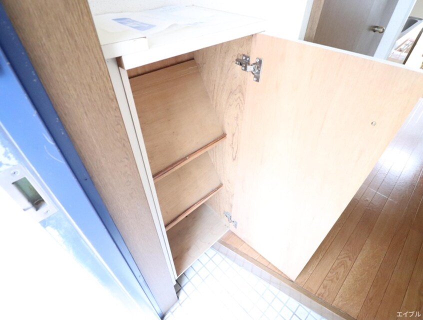 靴箱 レディスコスモ